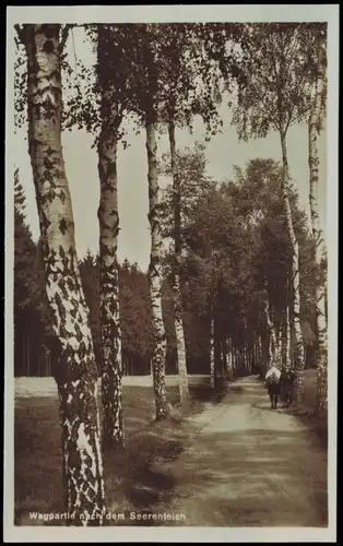 Ansichtskarte Dorfhain-Tharandt Wegpartie nach dem Seerenteich 1928