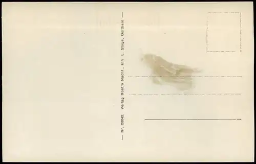 Ansichtskarte Geithain Stadtpartie 1928