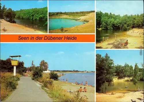 .Sachsen-Anhalt Seen in der Dübener Heide: Langer-, Roter-, Bergwitz-, Friedrich- und Königsee 1981