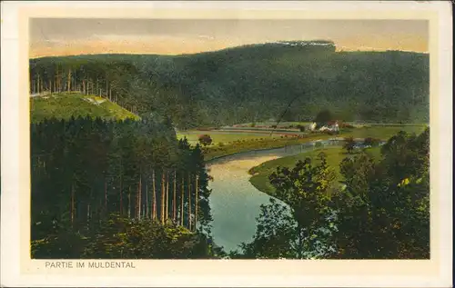 Ansichtskarte Muldental Partie im Muldental 1928