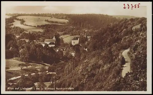 Ansichtskarte Liebstadt Stadtpartie - Straße 1926