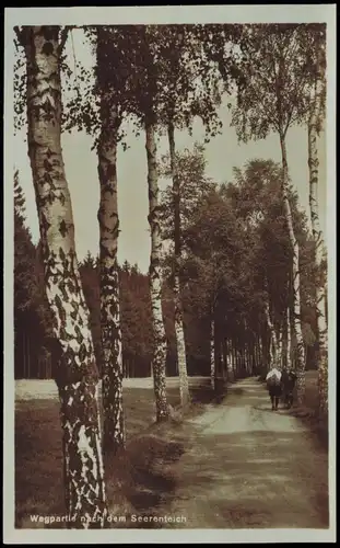 Ansichtskarte Dorfhain-Tharandt Wegpartie nach dem Seerenteich 1928