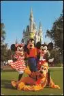 Postcard Orlando Walt Disney World Host of the Kingdom 1986