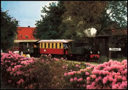 Museums-Eisenbahn Deutschlands Bruchhausen-Vilsen Heiligenberg - Asendorf 1980