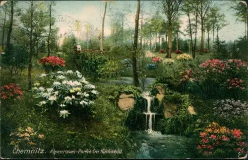 Ansichtskarte Chemnitz Alpenrosen-Partie im Küchwald. 1909
