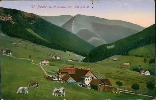 Sankt Peter Spindlermühle Špindlerův Mlýn  Ort 1915  gel. Feldpost Breslau