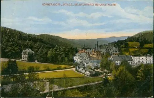 Görbersdorf in Schlesien Sokołowsko Dr. Brehmers Sanatorium 1918