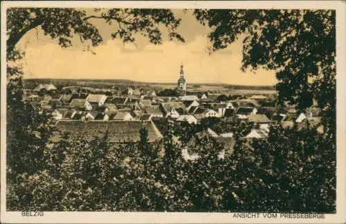 Ansichtskarte Bad Belzig Ansicht vom Presseberg 1938