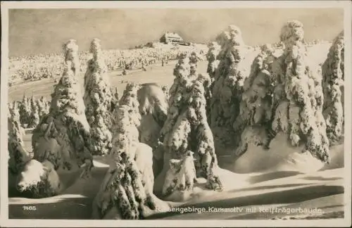 Hirschberg (Schlesien) Jelenia Góra Reifträgerbaude im Winter 1935