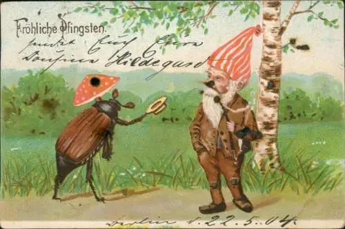 Glückwunsch: Pfingsten Zwerg Pfingstkäfer mit Fliegenpilz 1904