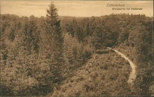 Ansichtskarte Lüdenscheid Waldpartie bei Hellersen 1912