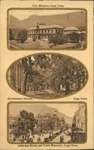 Postcard Kapstadt Kaapstad S.A. Museum 1913 Passepartout