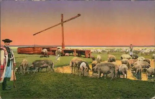 Hortobagy Hortobágy Haide, Schweineherde Typen Magyar Ungarn 1921