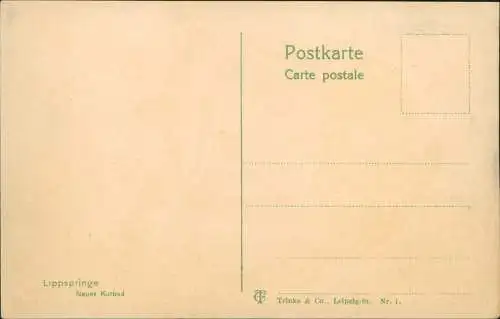 Ansichtskarte Bad Lippspringe Neues Kurbad 1917