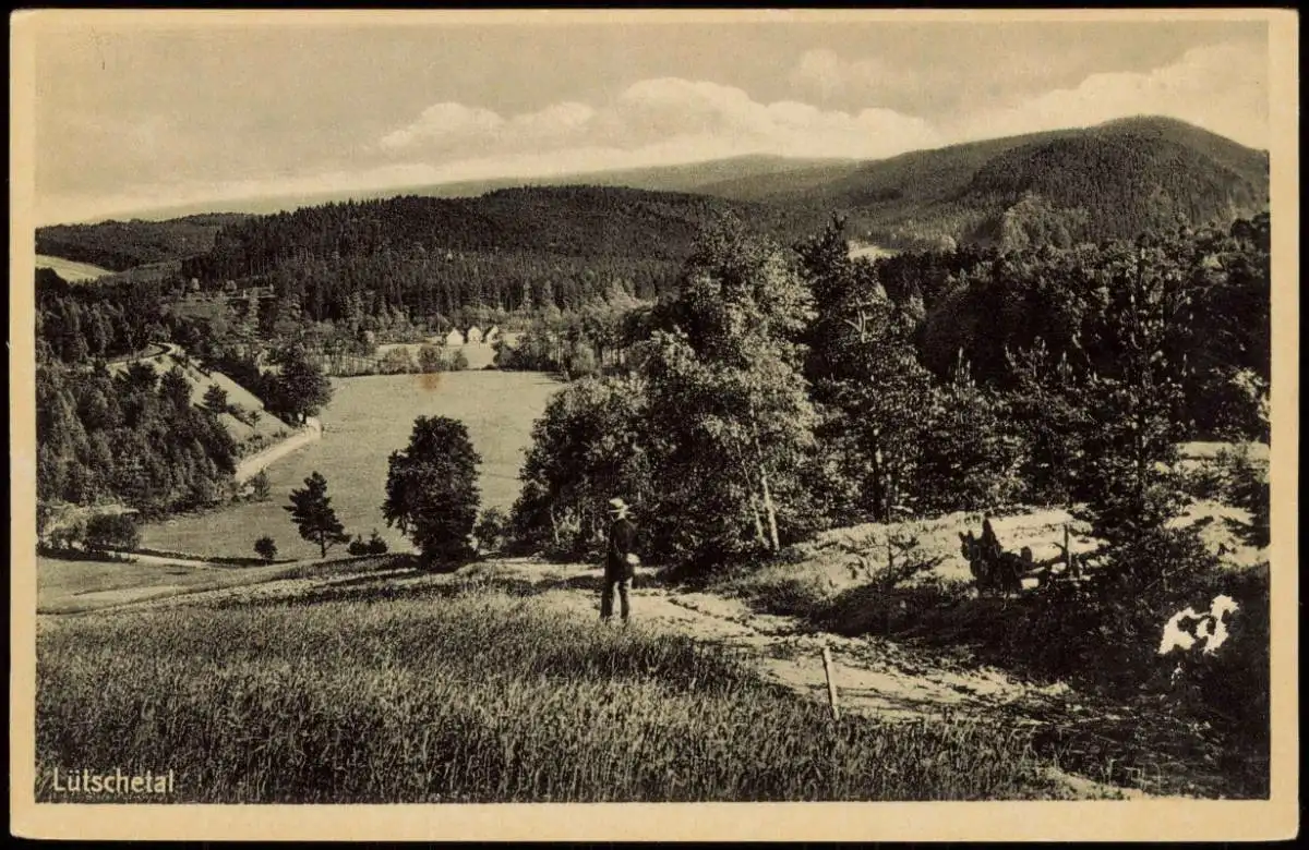 Ansichtskarte Frankenhain Panorama Lütschetal 1920