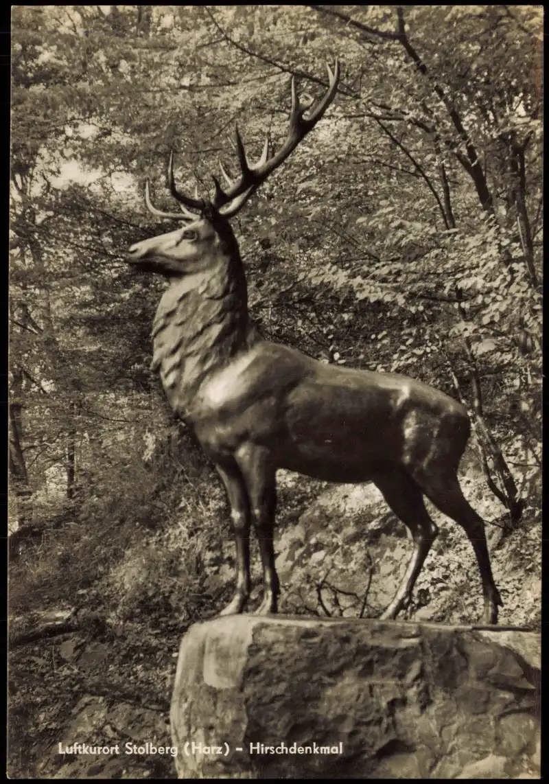 Ansichtskarte Stolberg (Harz) Hirsch-Denkmal zur DDR-Zeit 1967