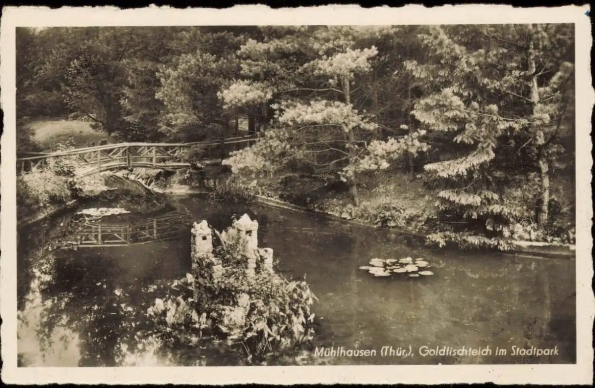 Ansichtskarte Mühlhausen (Thüringen) Stadtpark Goldfischteich 1952