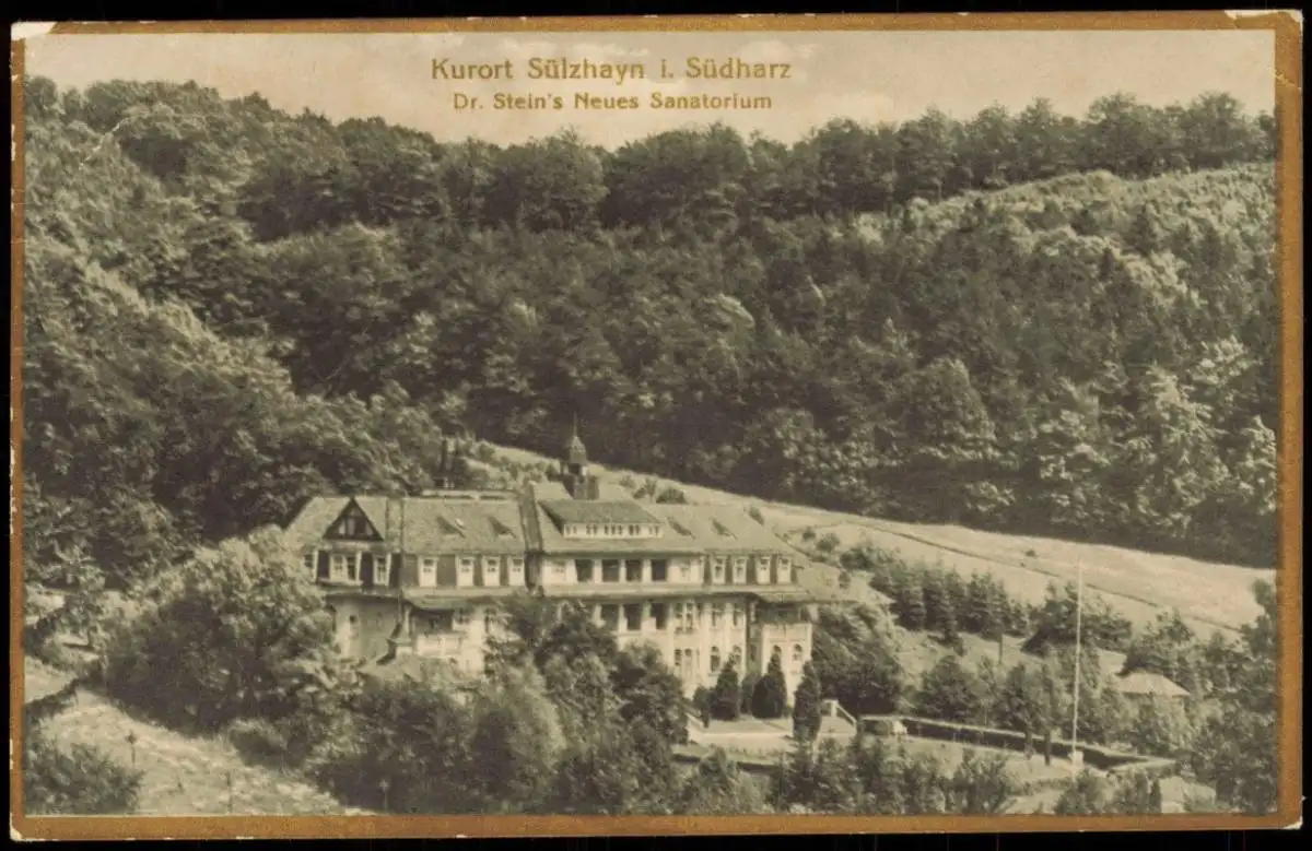 Sülzhayn-Ellrich Dr. Stein's Neues Sanatorium BROMOGOLD 1924 Goldrand