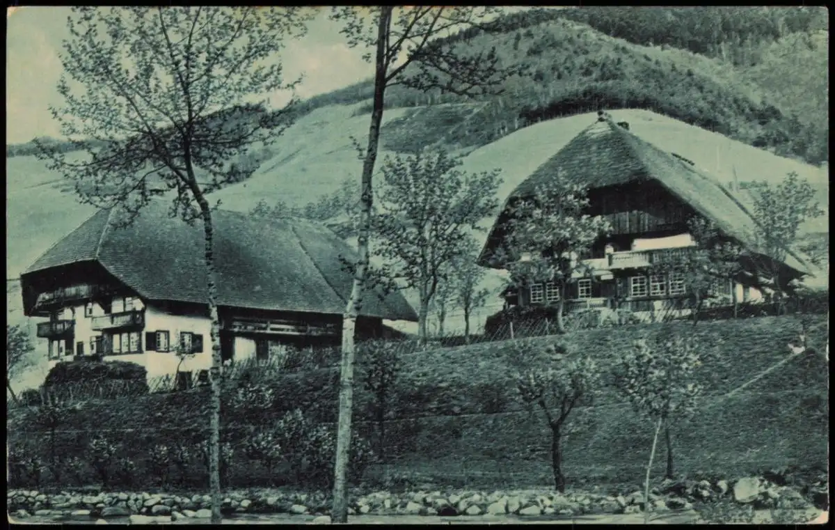 .Baden-Württemberg Schwarzwald   typische Häuser 1907   gel Stempel TRIBERG