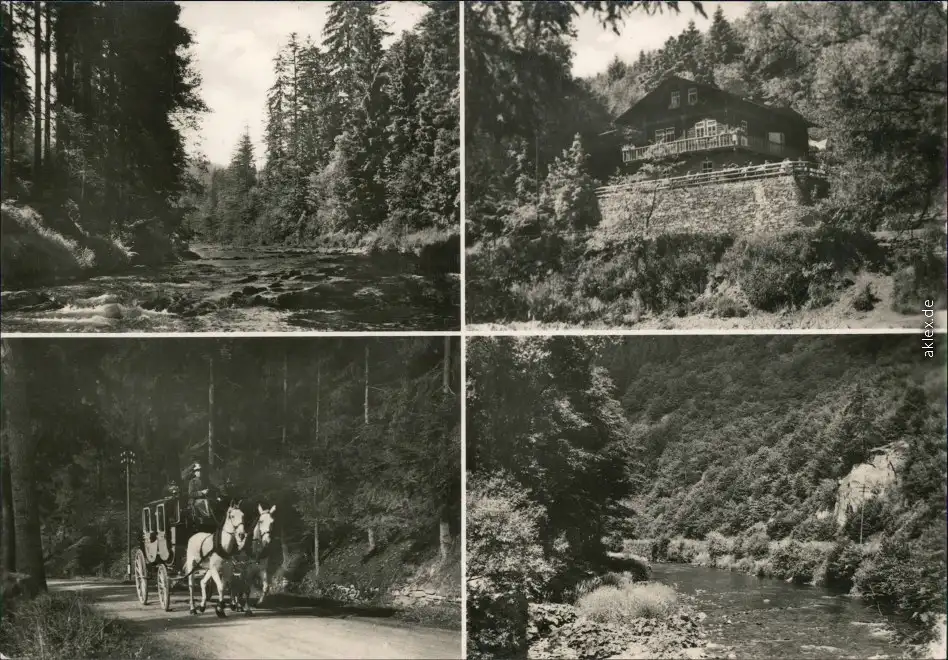 Ansichtskarte Schwarzburg Schweizerhaus-Schwarzatal - Fluss und Kutsche 1975