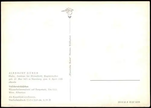 Ansichtskarte  Künstlerkarte ALBRECHT DÜRER Veilchensträußchen 1967