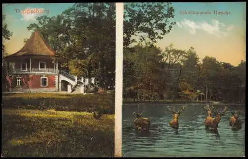 Eichwald (Erzgebirge) Dubí 2 Bild Pavillon Schwimmende Hirsche. 1914