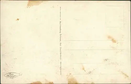 Postcard Bad Charlottenbrunn Jedlina-Zdrój Stadtpartie 1928