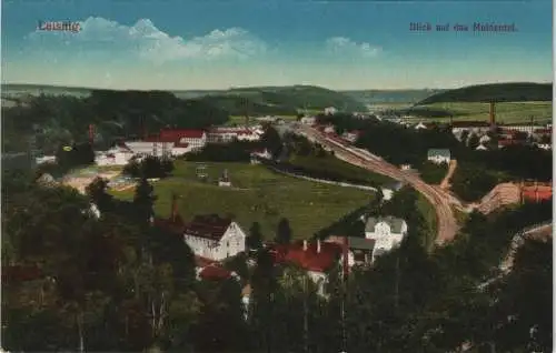 Ansichtskarte Leisnig Partie im Muldental 1913