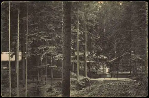 Postcard Dittersbach (Böhm. Schweiz) Jetřichovice Balzhütte 1918