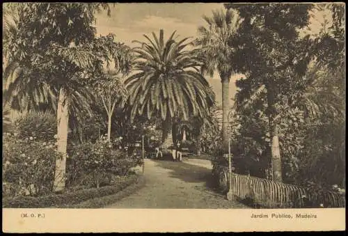 Postcard Funchal Jardim Publico Madeira 1940