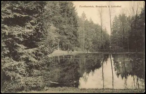 Ansichtskarte Bonnewitz-Pirna Forellenteich b. Liebethal 1925