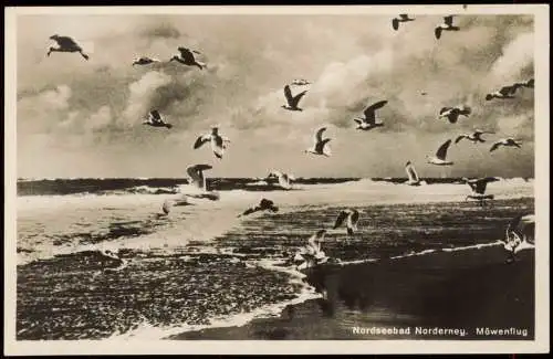 Ansichtskarte Norderney Möwenflug 1930