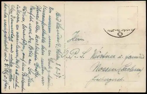 Postcard Bad Landeck Lądek-Zdrój Kaufmanns-Erholungsheim. 1928