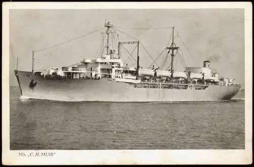 Ansichtskarte  MS.C. H. MUIR Schiff Schifffahrt - Hochsee 1952