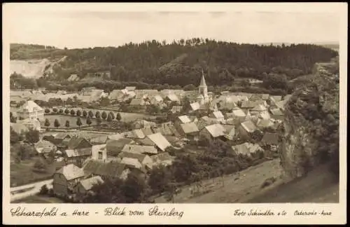 Ansichtskarte Scharzfeld-Herzberg (Harz) vom Steinberg 1950