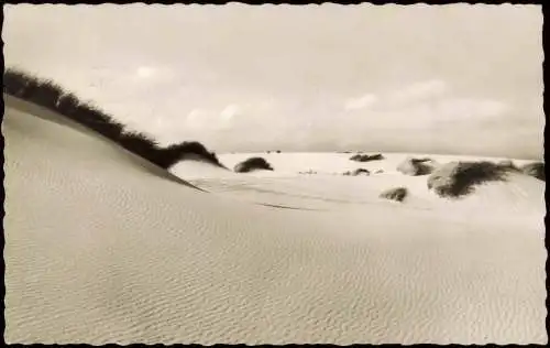 Ansichtskarte Insel Sylt Vom Winde verweht - Dünen Fotokarte 1961