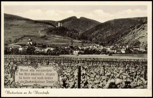 Ansichtskarte Wachenheim an der Weinstraße Weinreben vor der Stadt 1963