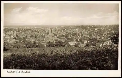Neustadt an der Weinstraße Neustadt an der Haardt Blick über die Stadt 1952