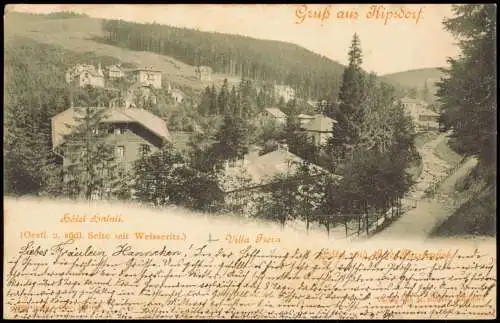 Ansichtskarte Kipsdorf-Altenberg (Erzgebirge) Hotel Halali, Villa Flora 1901