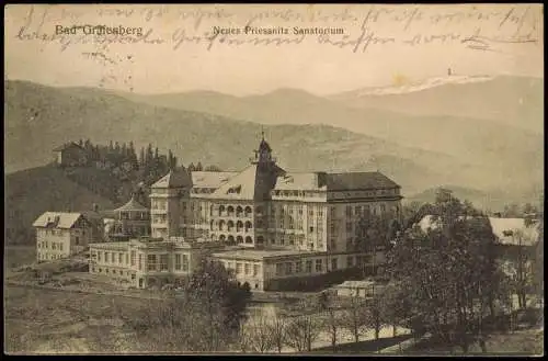 Bad Gräfenberg-Freiwaldau Lázně Jeseník Jeseník Neues Priessnitz Sanatorium 1911