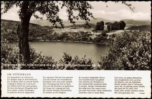 Ansichtskarte Daun Eifel Umland-Ansicht Totenmaar Eifel 1959