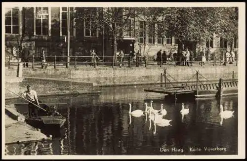 Postkaart Den Haag Den Haag Den Haag Korte Vijverberg, Schwäne 1950