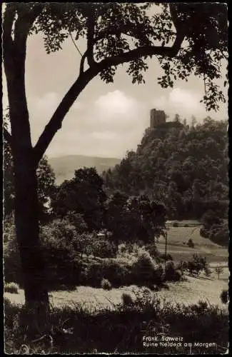 Ansichtskarte Forchheim (Oberfranken) Burgruine Neideck 1956