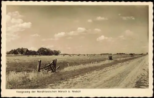 Ansichtskarte Niebüll Koogsweg der Nordfriesischen Marsch b. Niebüll 1955