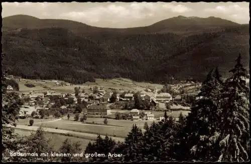 Ansichtskarte Bodenmais Panorama-Ansicht mit kleinem und großem Arber 1961