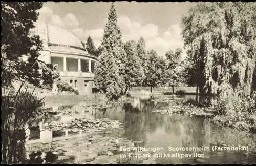 Bad Wildungen Seerosenteich (Fackelteich) im Kurpark mit Musikpavillon 1965