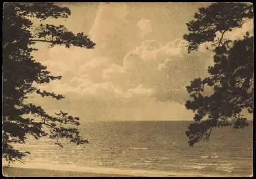 Postcard Narwa Narva Suvituskoht Narva-Jõesuu Vaade merele 1929