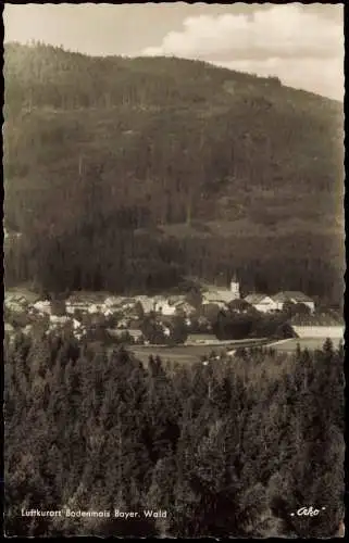 Ansichtskarte Bodenmais Totale 1955