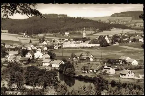 Ansichtskarte Blaibach Stadtpartie 1960  gel. Bahnpoststempel