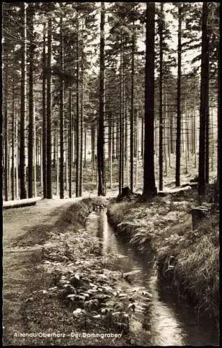 Ansichtskarte Altenau-Clausthal-Zellerfeld Der Dammgraben 1960